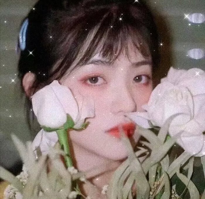 霹雳玫瑰